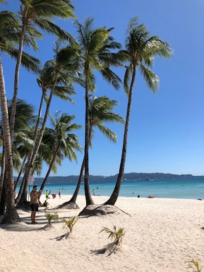 Tropical Paradise